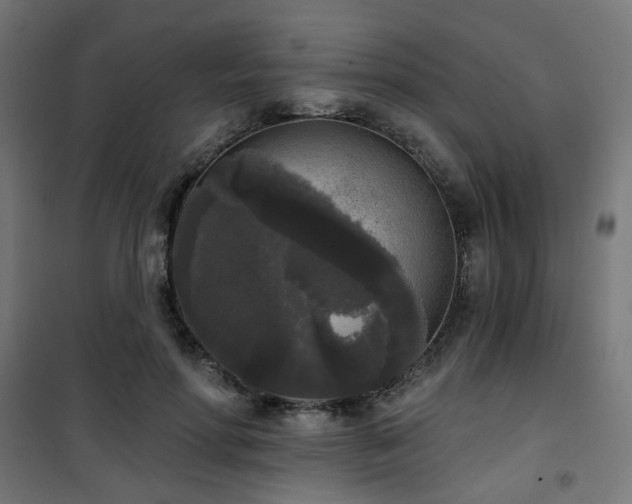 X0000101460598200807071432