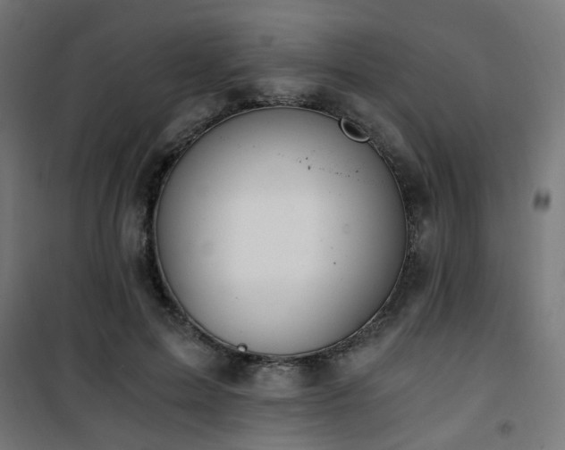 X0000101460599200807071432