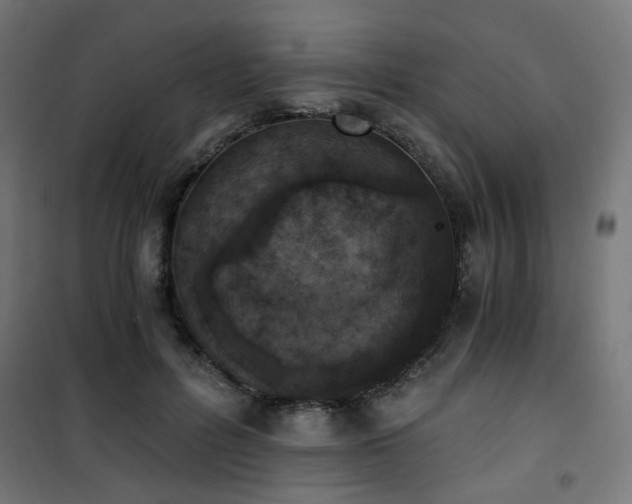 X0000101460600200807071432