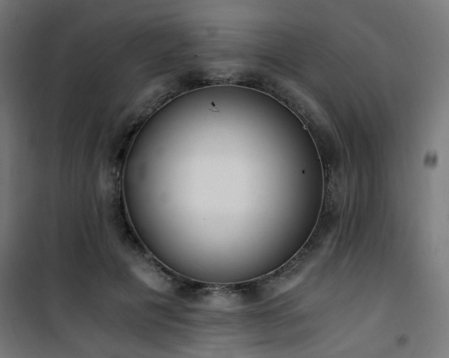 X0000101460601200807071432
