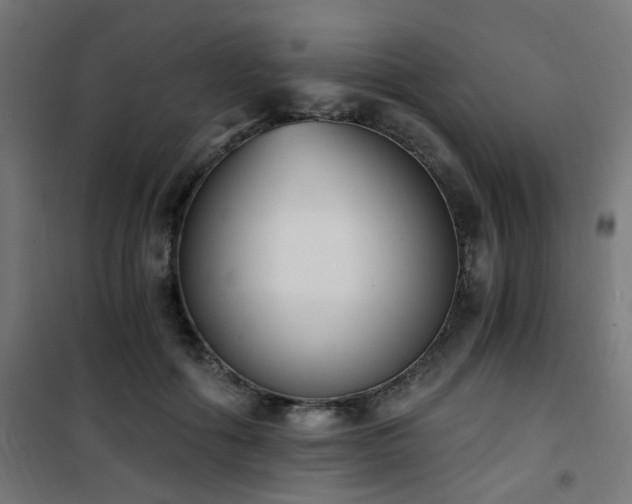 X0000101460602200807071432
