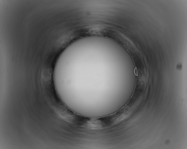 X0000101460603200807071432