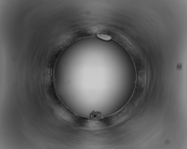 X0000101460605200807071432