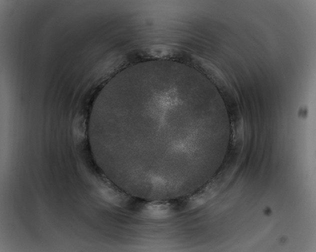 X0000101460606200807071432