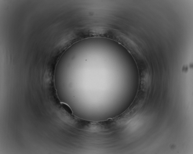 X0000101460608200807071432
