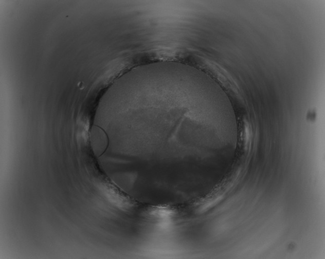 X0000101460610200807071432
