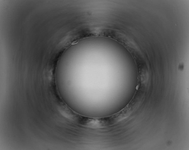 X0000101460611200807071432