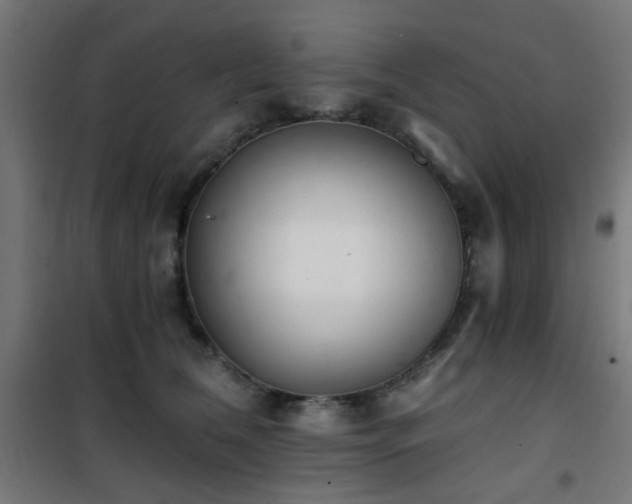 X0000101460612200807071432