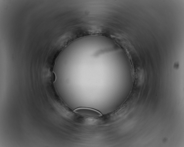 X0000101460614200807071432