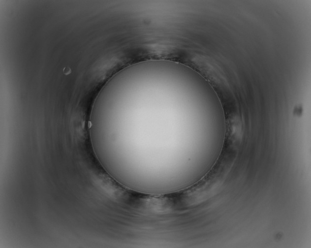 X0000101460615200807071432