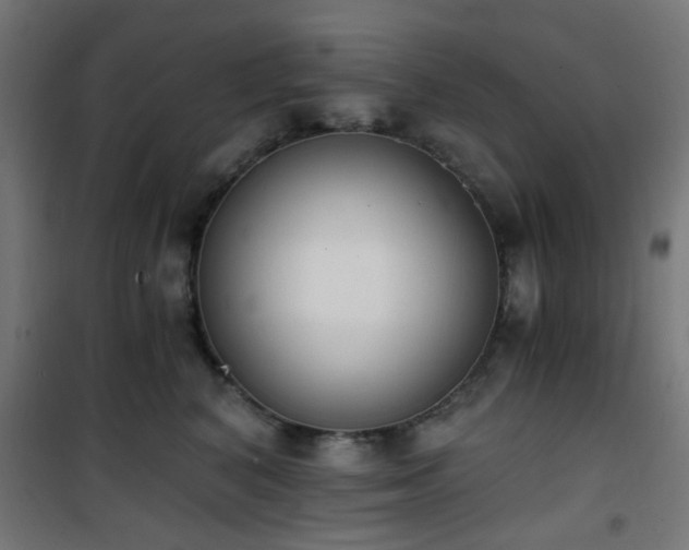 X0000101460616200807071432