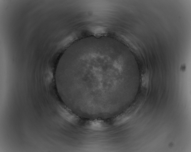X0000101460618200807071432