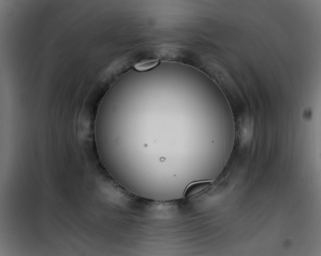 X0000101460619200807071432