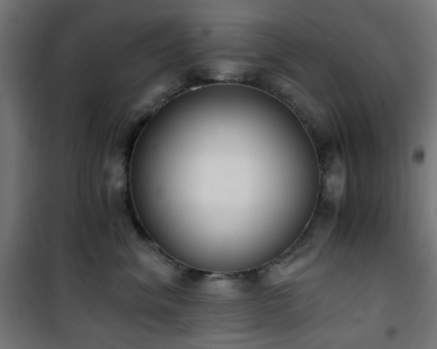 X0000101460620200807071432