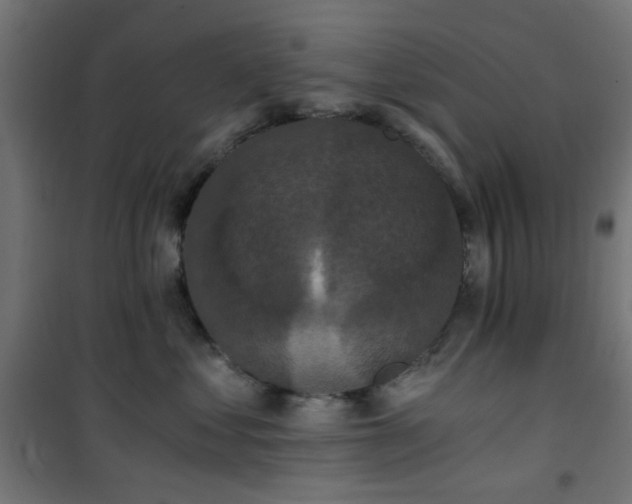 X0000101460621200807071432