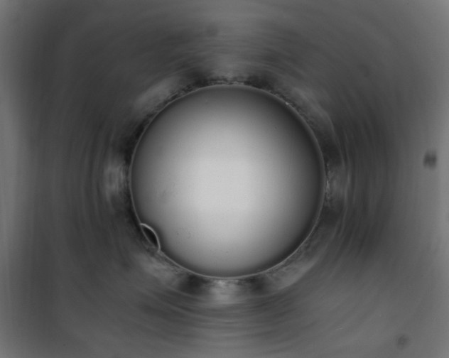 X0000101460623200807071432