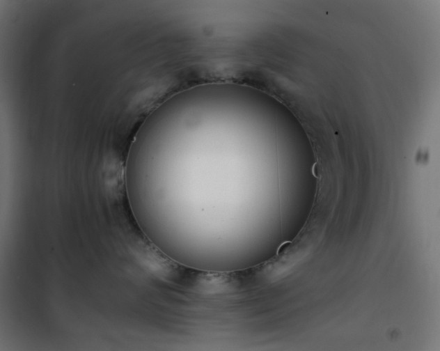 X0000101460624200807071432