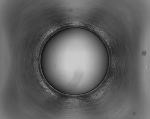 X0000101460625200807071431