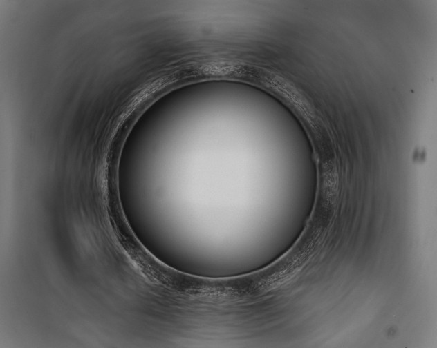 X0000101460626200807071431