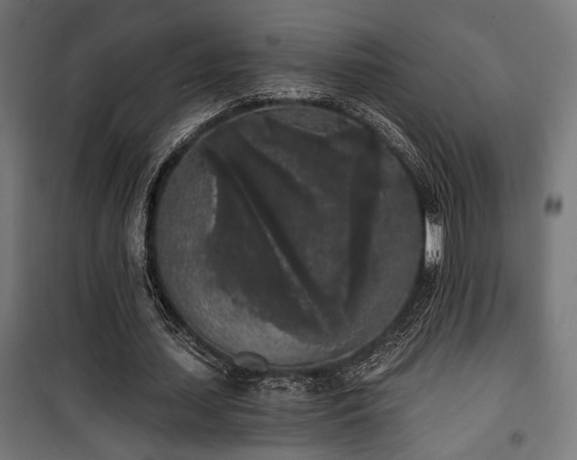 X0000101460627200807071431
