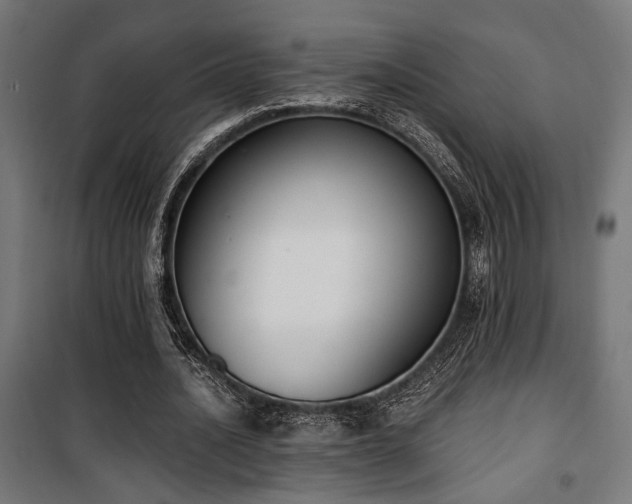 X0000101460628200807071431