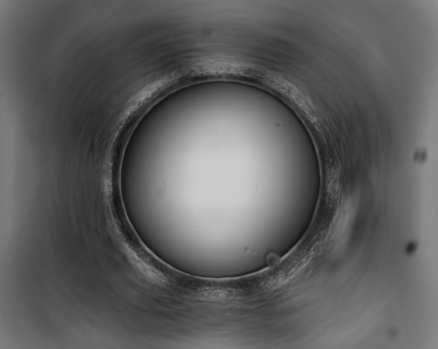 X0000101460629200807071431