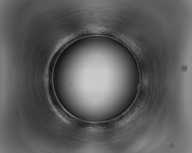 X0000101460630200807071431