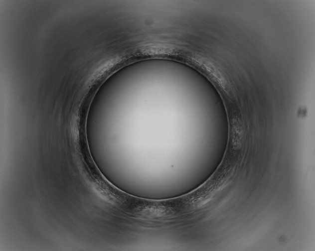 X0000101460631200807071431