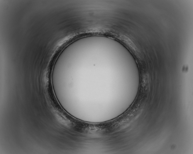 X0000101460632200807071431