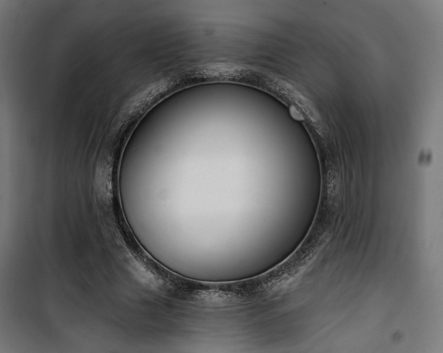 X0000101460633200807071431