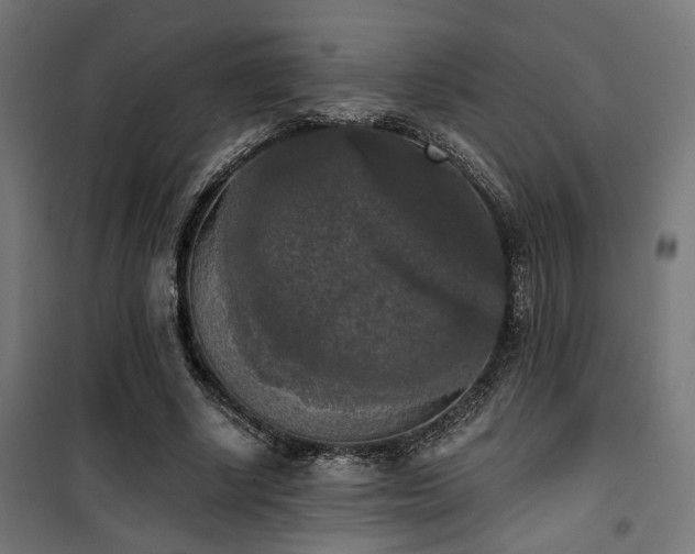 X0000101460634200807071431