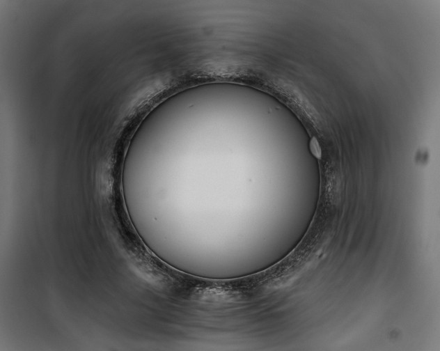 X0000101460635200807071431