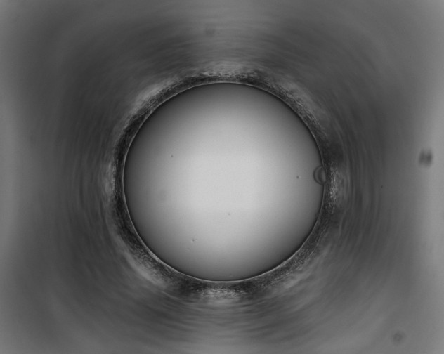 X0000101460636200807071431