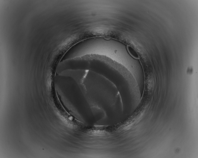 X0000101460637200807071431