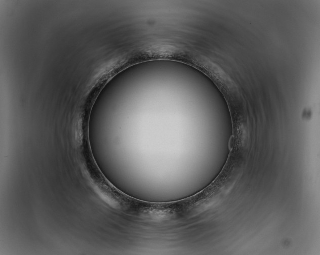 X0000101460638200807071431