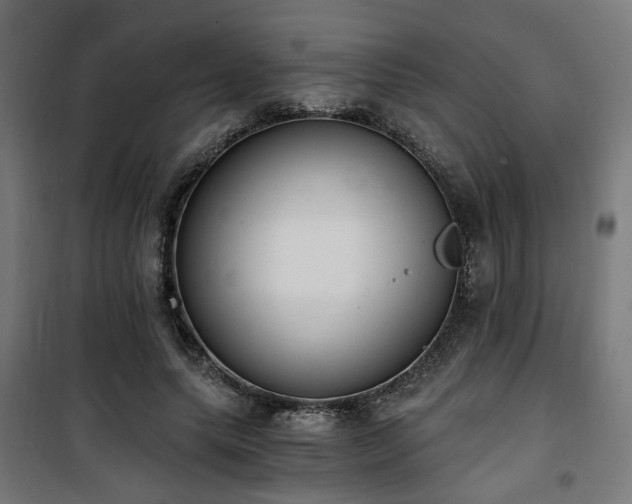 X0000101460639200807071431