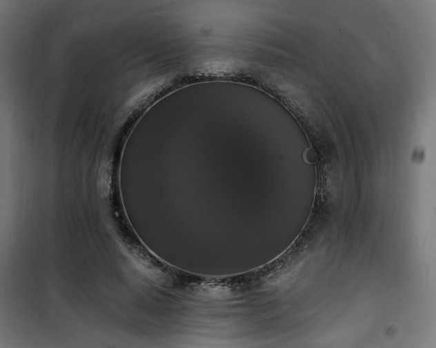 X0000101460640200807071431