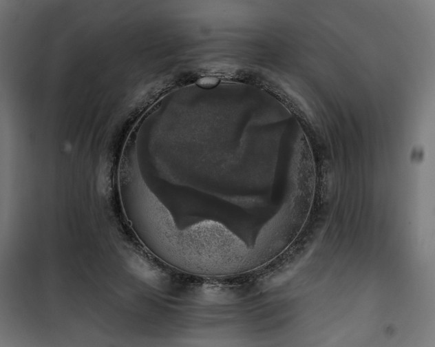 X0000101460641200807071431