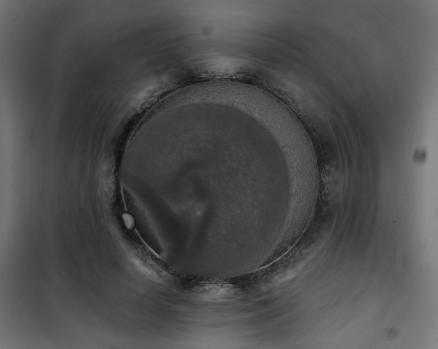 X0000101460642200807071431