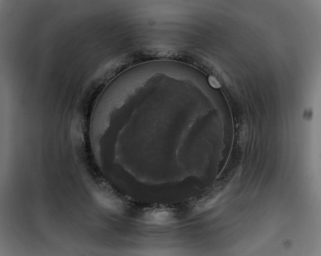 X0000101460643200807071431