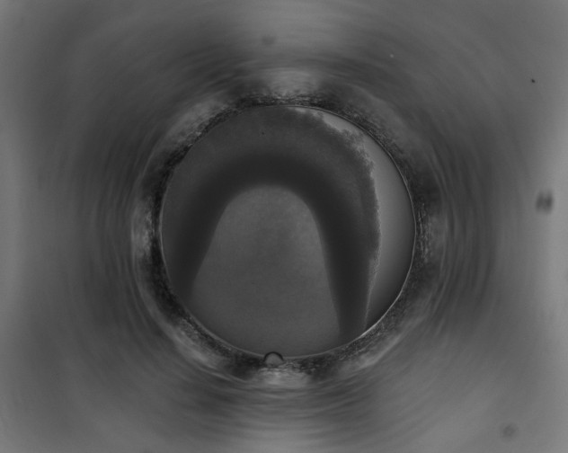 X0000101460644200807071431