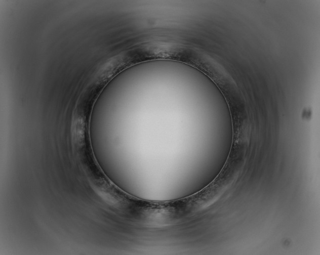 X0000101460646200807071431