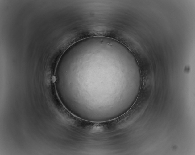 X0000101460647200807071431