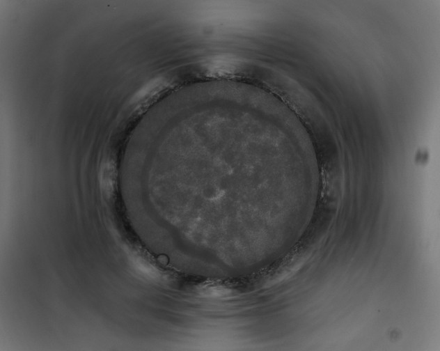 X0000101460648200807071431