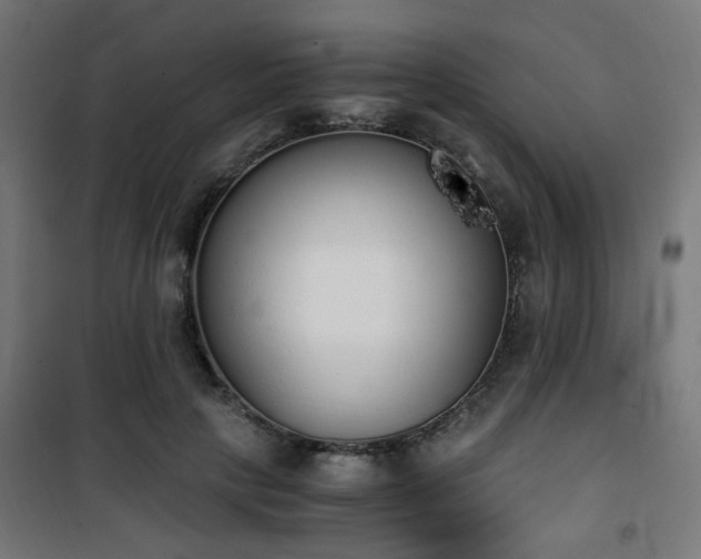 X0000101460649200807071431
