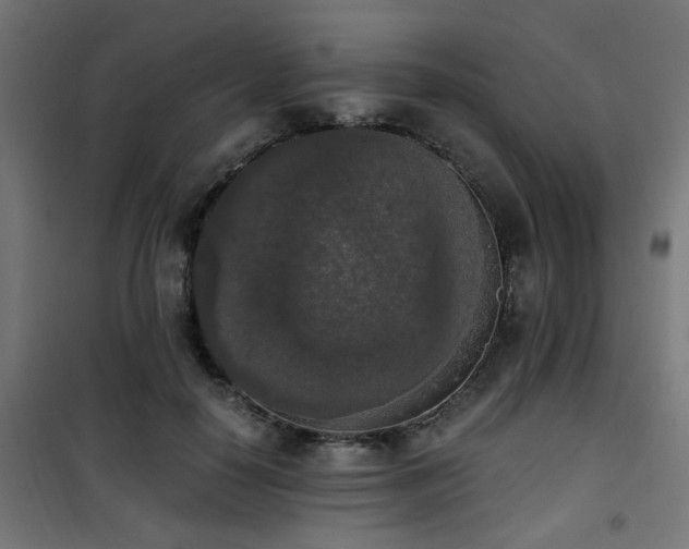 X0000101460650200807071431