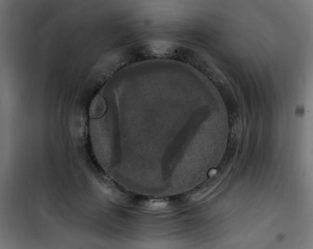 X0000101460651200807071431