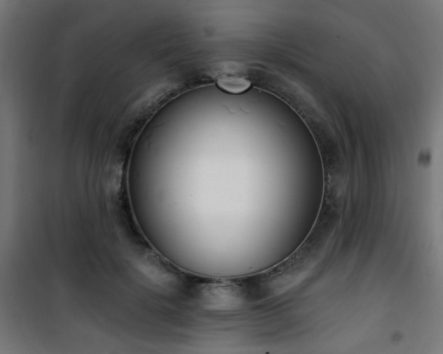 X0000101460652200807071432
