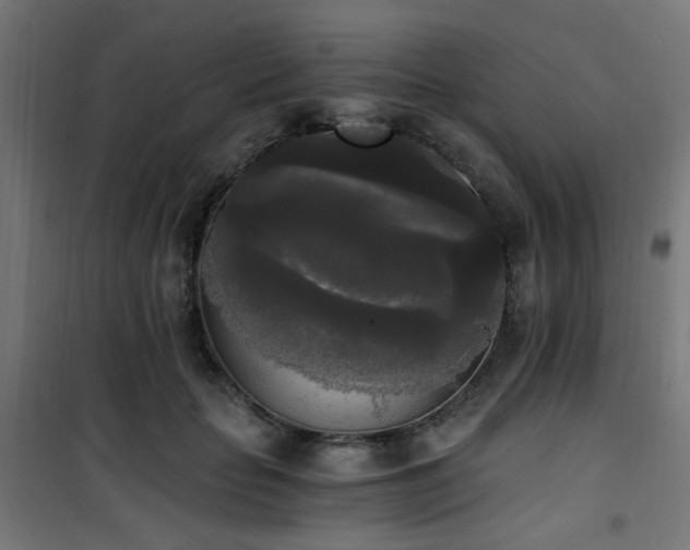 X0000101460653200807071432