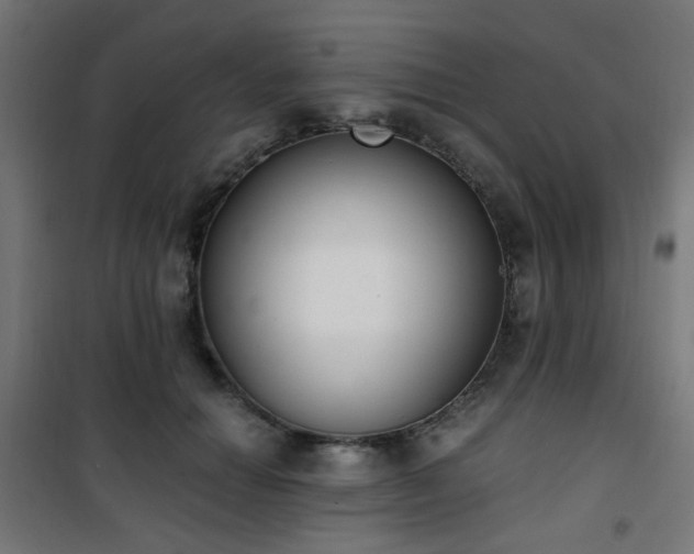 X0000101460654200807071432